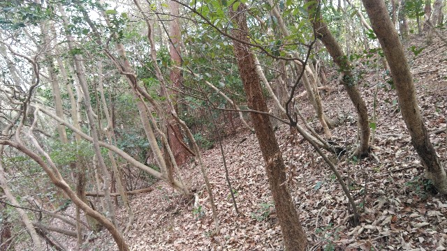 f:id:screamhand:20240311081259j:image
