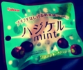 チョコミントサークル