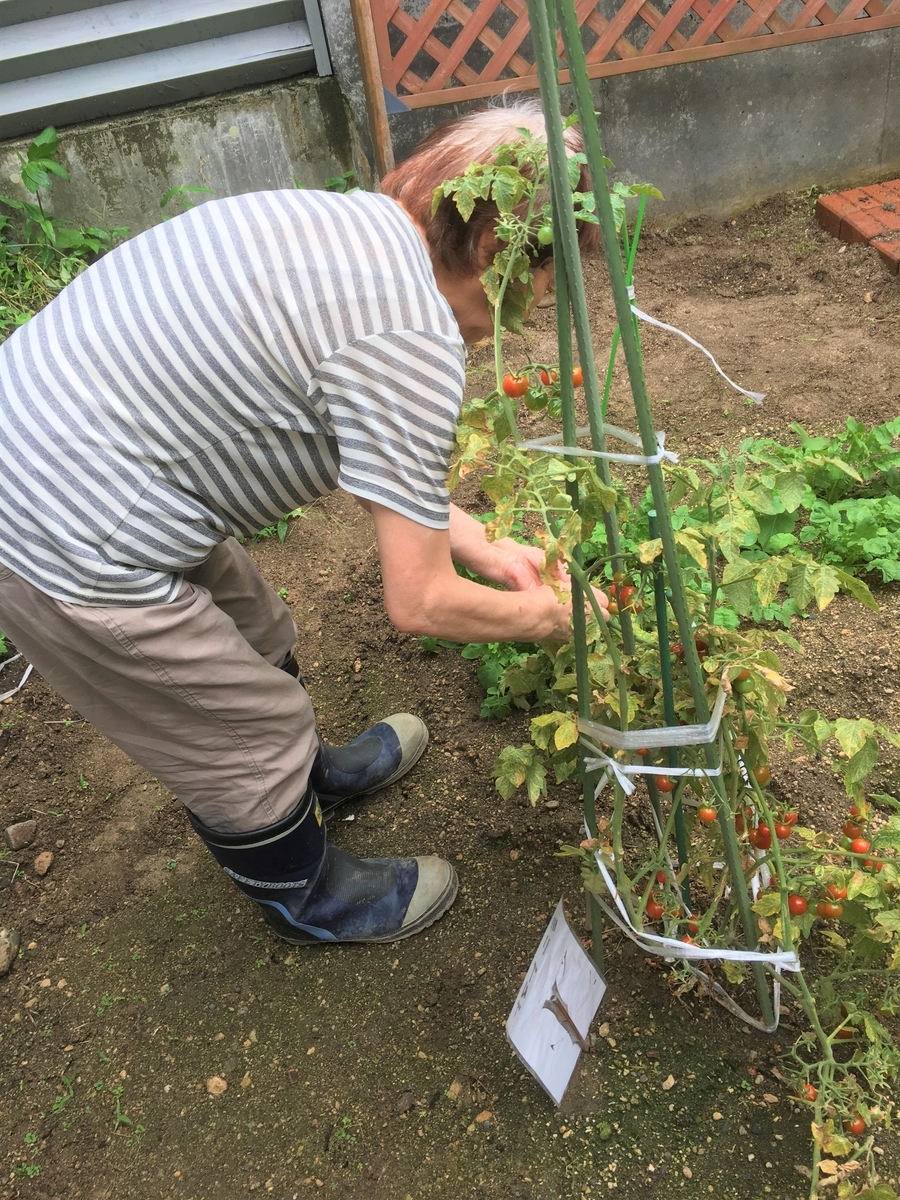 f:id:scshd_media:20190913011208j:plain f:id:scshd_media:20190913011208j:plain