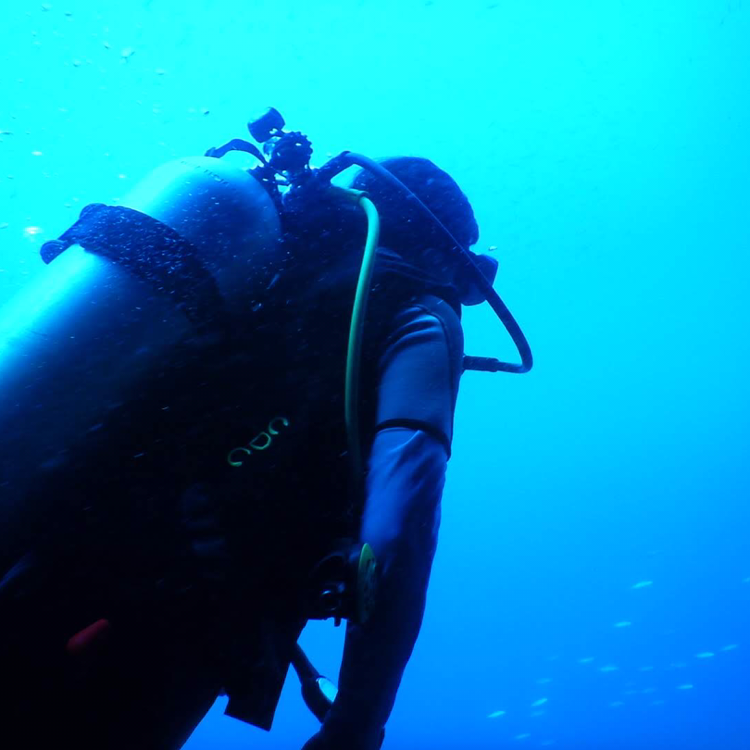 f:id:scuba07:20200306133416p:plain