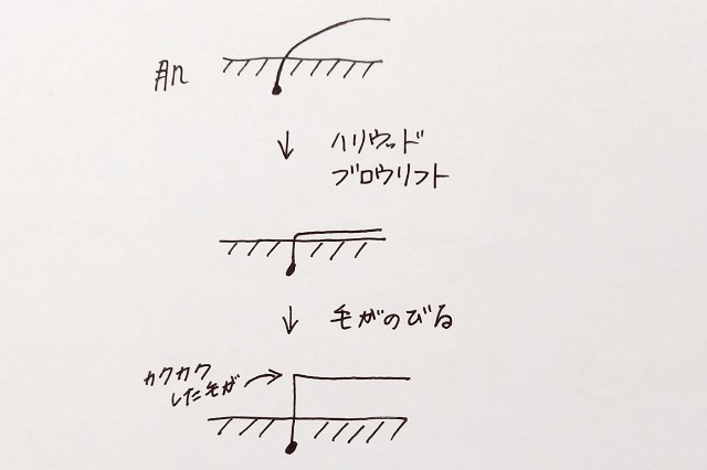 f:id:scude:20220227144108j:image f:id:scude:20220227144108j:image