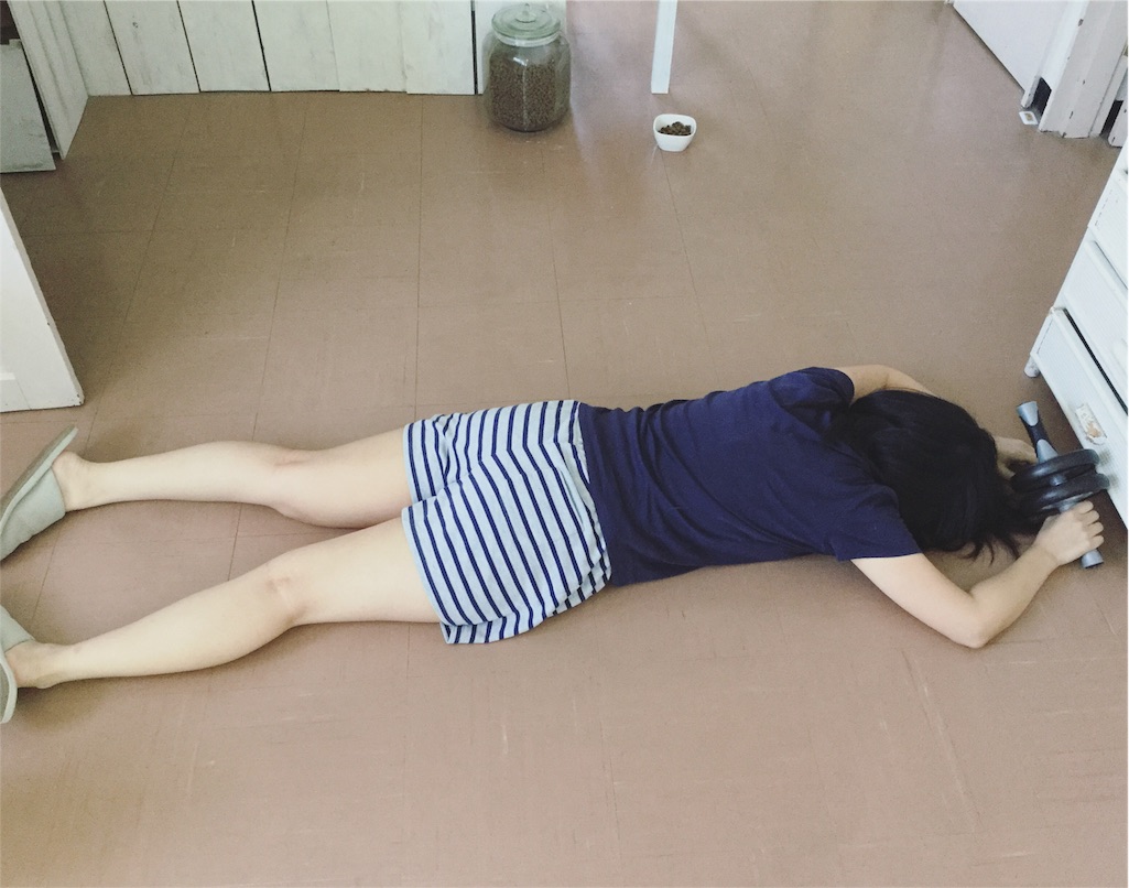 f:id:sd_marisuke:20160528221438j:plain f:id:sd_marisuke:20160528221438j:plain
