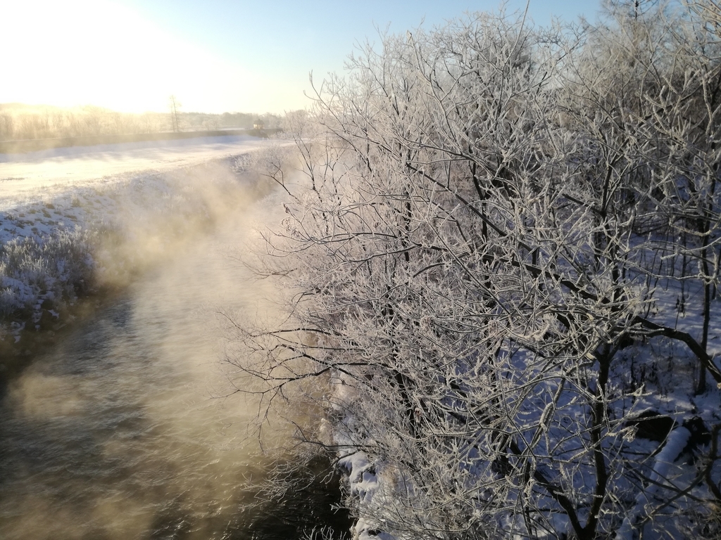 f:id:sdawo-vent:20190122211309j:plain f:id:sdawo-vent:20190122211309j:plain