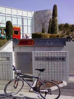 イメージ 7