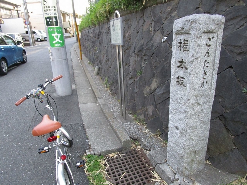 イメージ 13