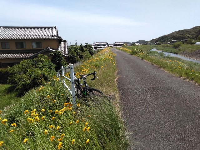 f:id:sdayamayuki:20210510195656j:image f:id:sdayamayuki:20210510195656j:image