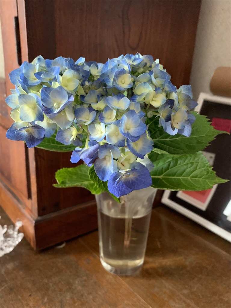 f:id:sdmnm77:20200608203709j:image f:id:sdmnm77:20200608203709j:image