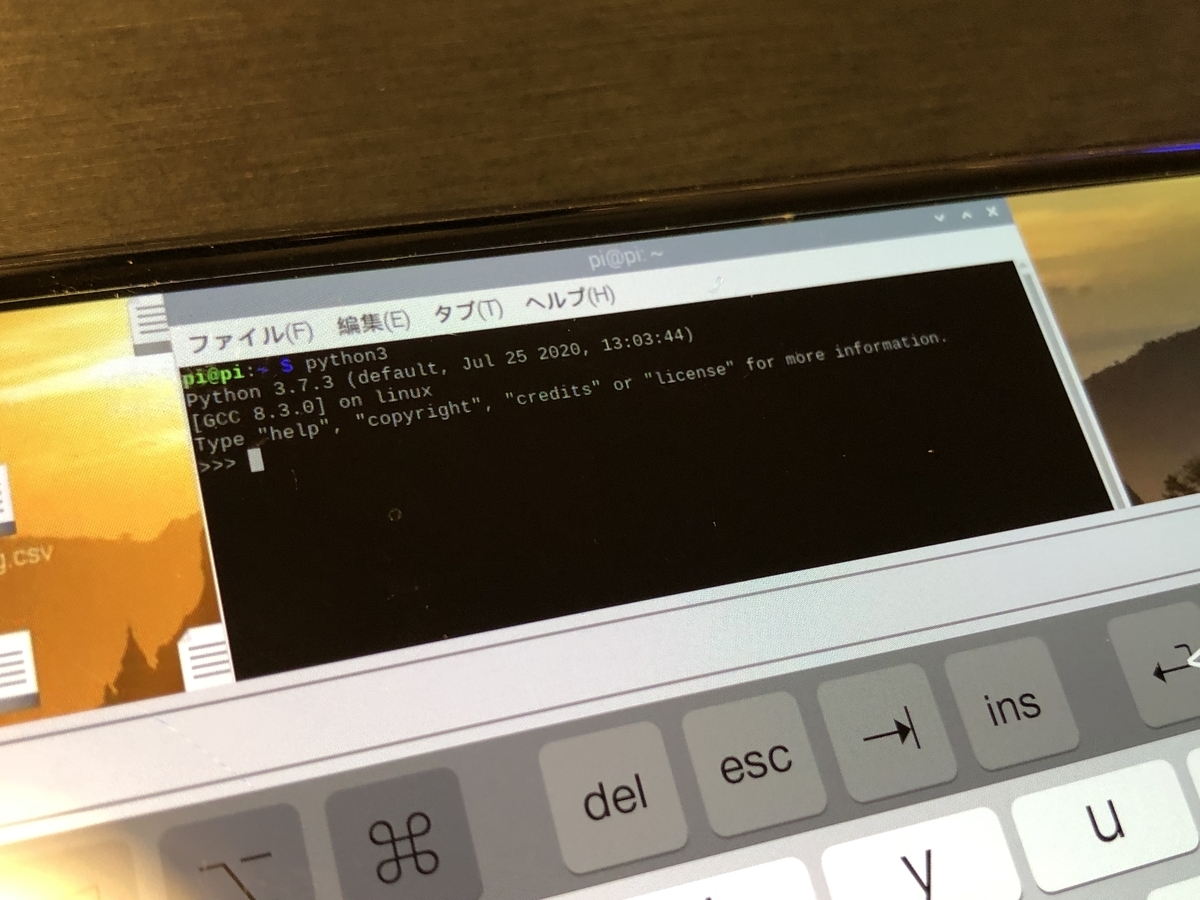 python3実行中