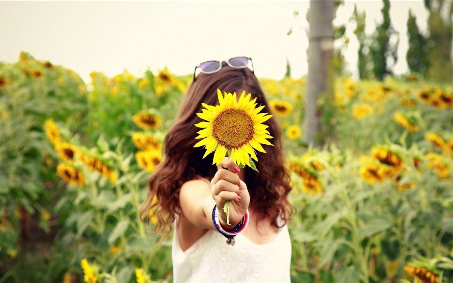 f:id:se-ra0403:20190701211326j:image