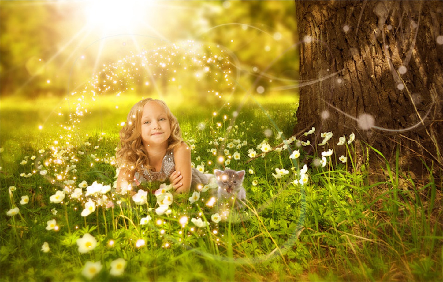 f:id:se-ra0403:20190702182245j:image