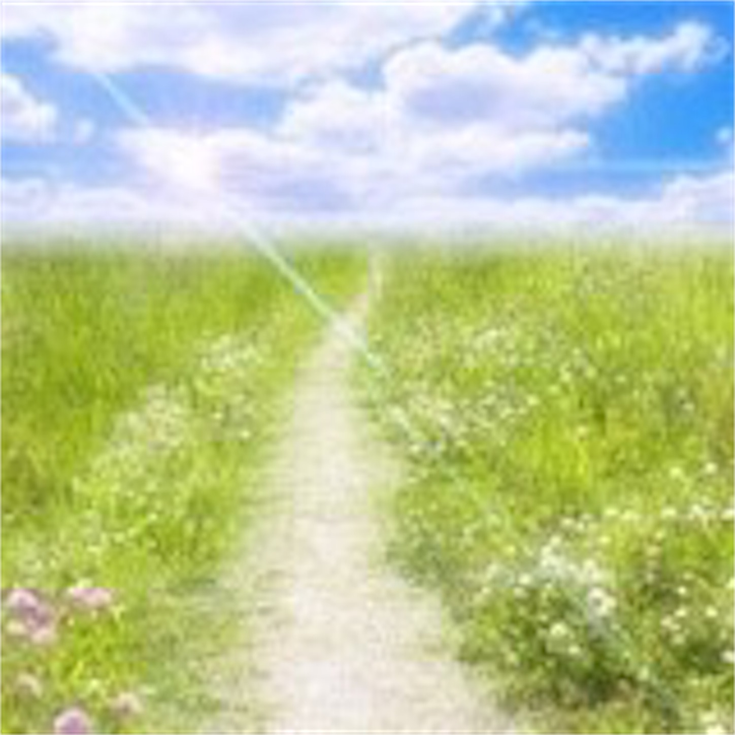 f:id:se-ra0403:20190702203947j:image