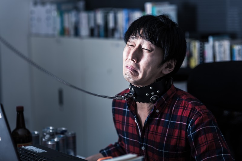 社畜とはまさにこのこと