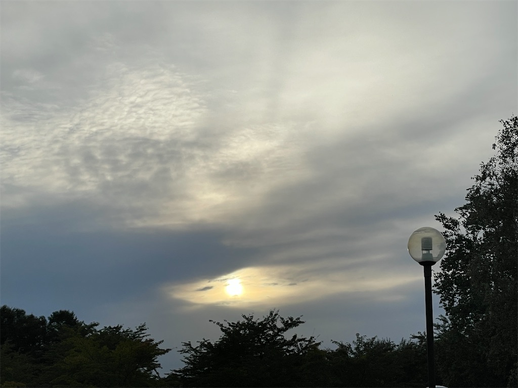 f:id:sea-b:20220903200227j:image