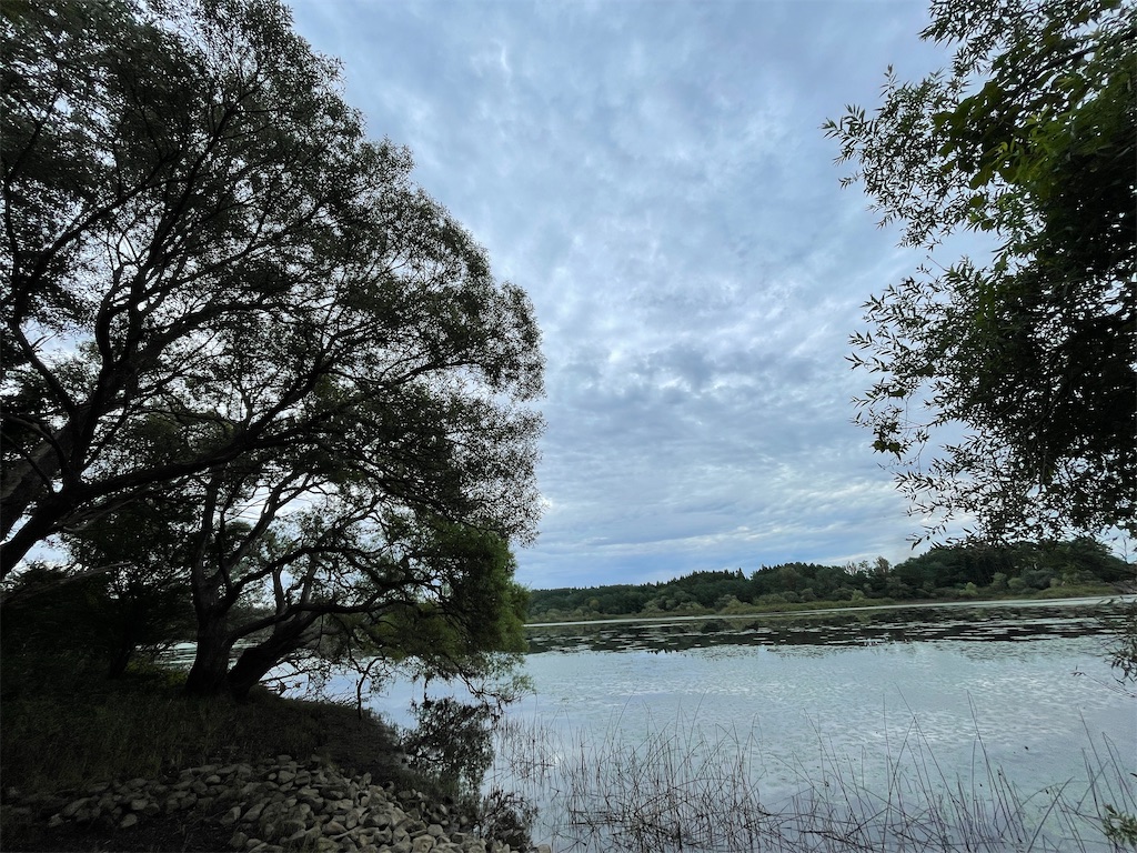 f:id:sea-b:20220903202358j:image