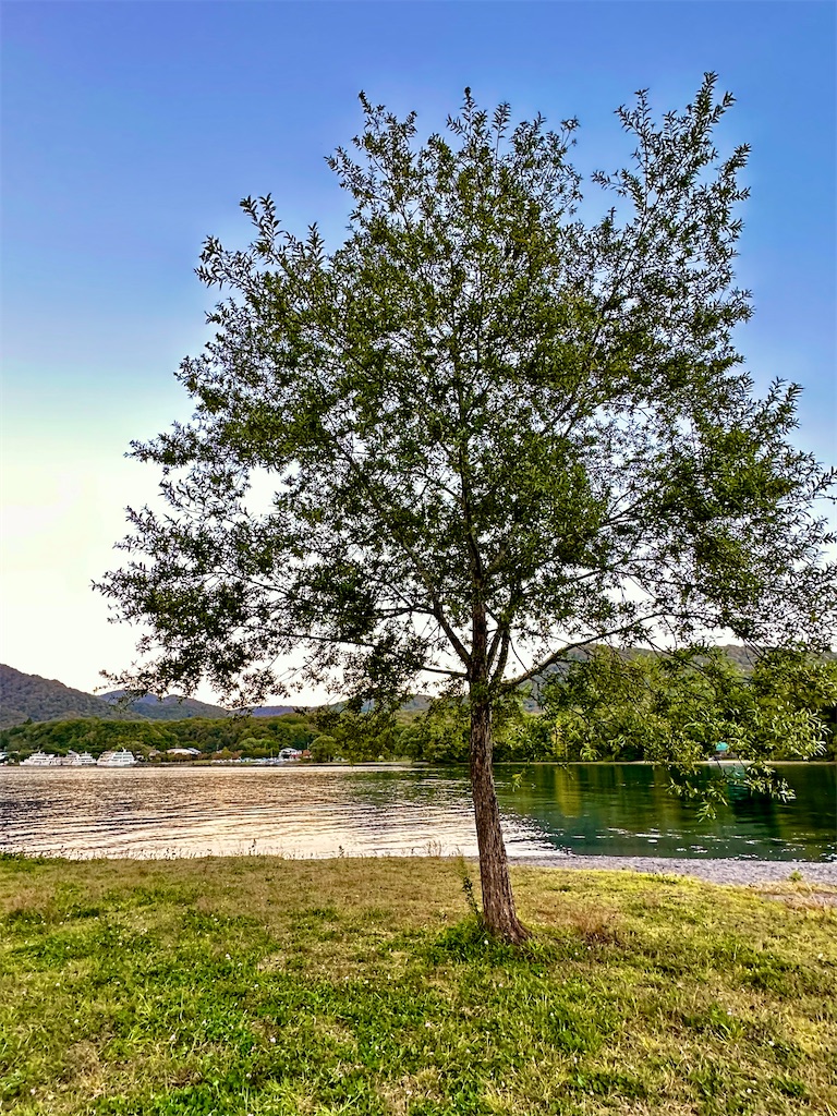 f:id:sea-b:20241006211131j:image