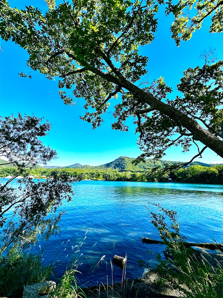 f:id:sea-b:20241006211145j:image