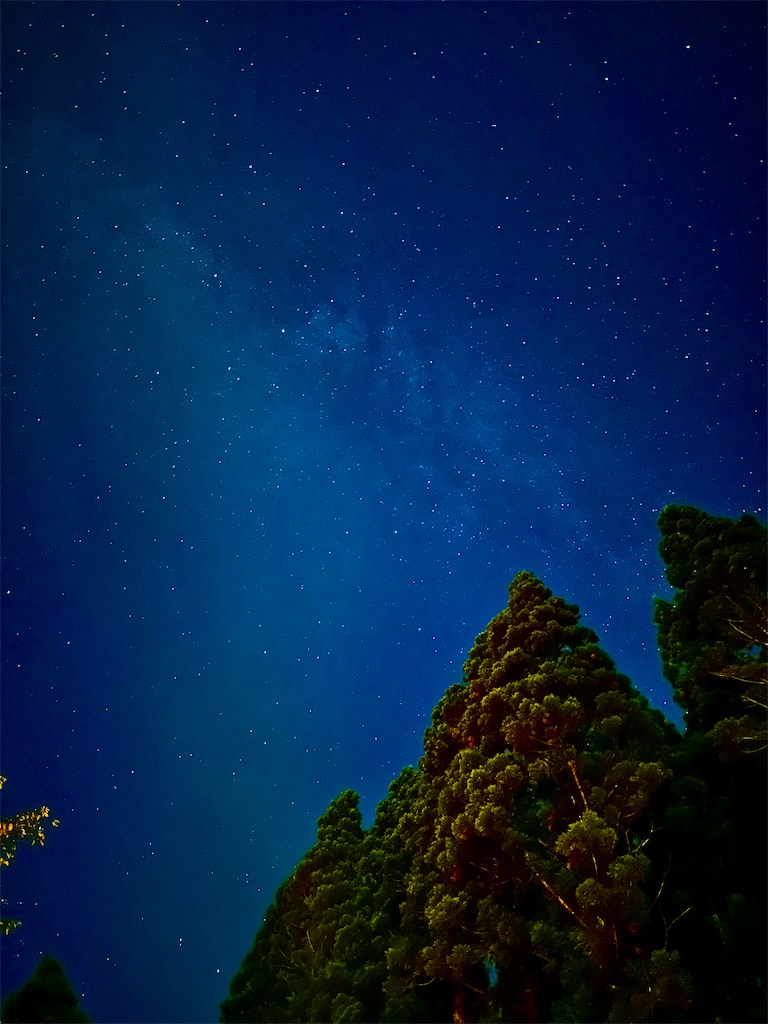 f:id:sea-b:20241013160527j:image