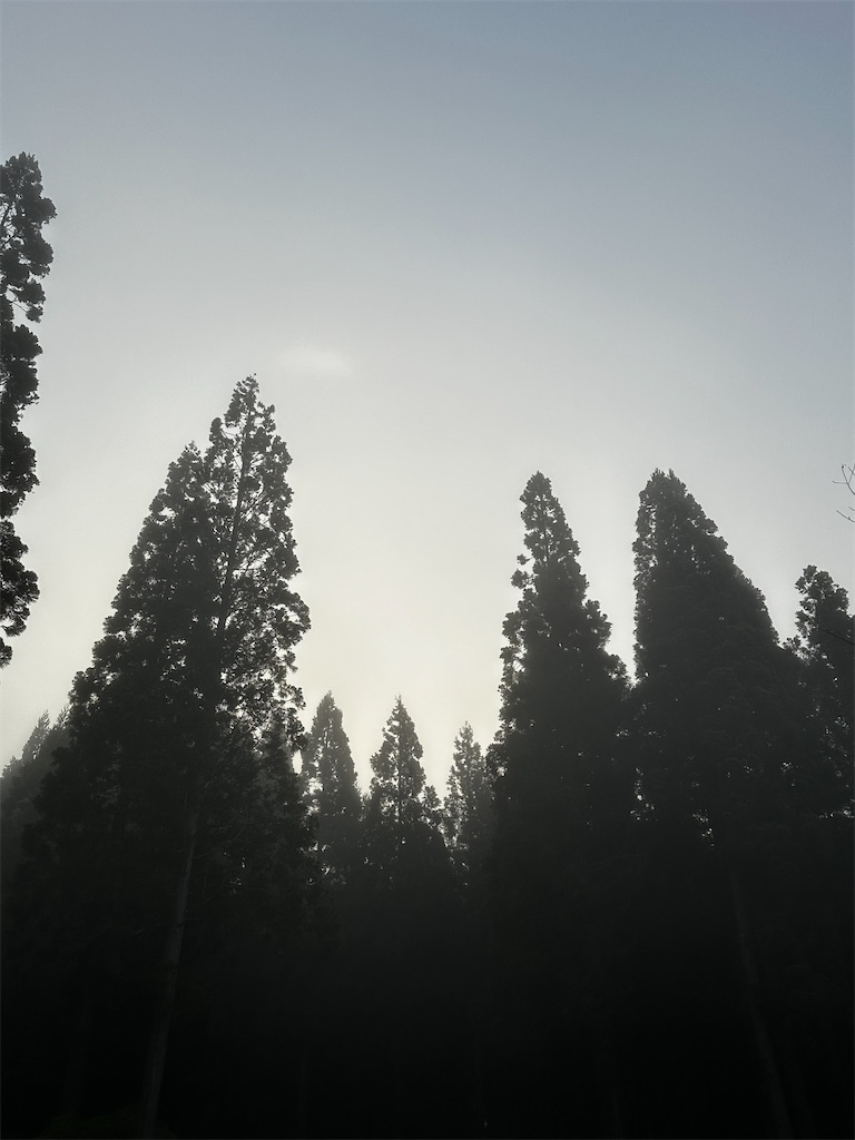 f:id:sea-b:20241013160534j:image