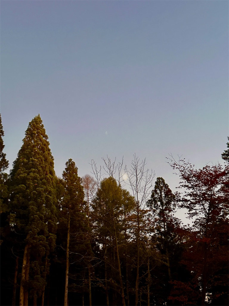 f:id:sea-b:20241013160538j:image
