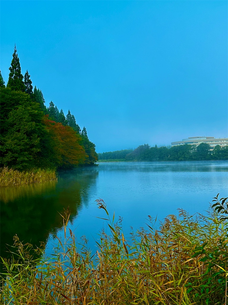 f:id:sea-b:20241013160541j:image