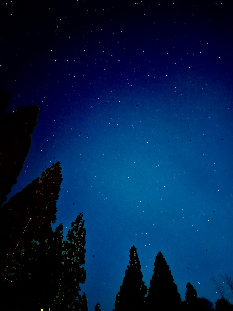 f:id:sea-b:20241013160605j:image