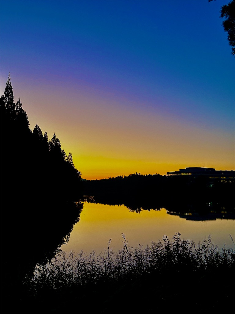 f:id:sea-b:20241013160615j:image