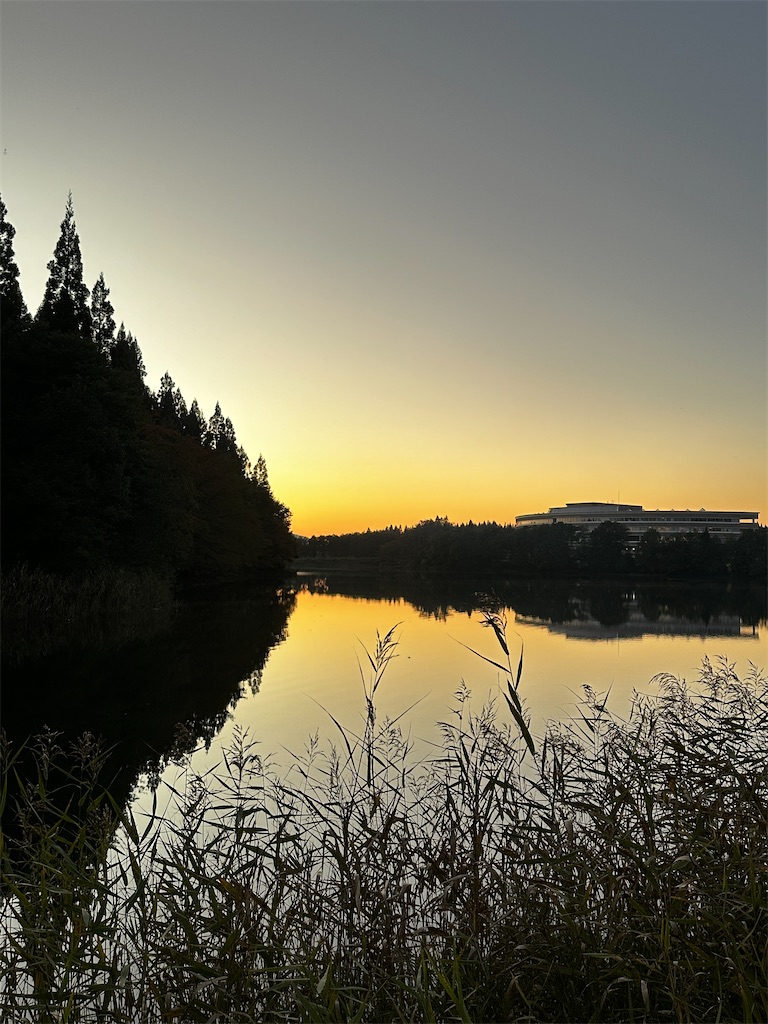 f:id:sea-b:20241013160622j:image