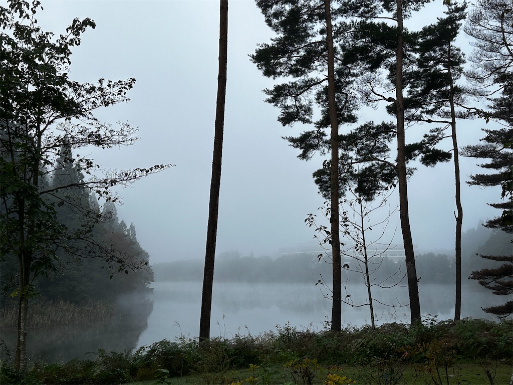 f:id:sea-b:20241013160633j:image