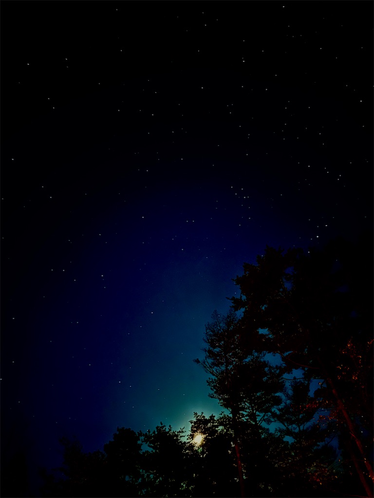 f:id:sea-b:20241013160655j:image