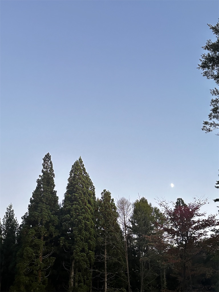 f:id:sea-b:20241013160707j:image