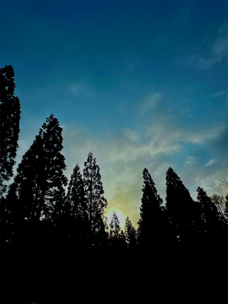 f:id:sea-b:20241013160733j:image