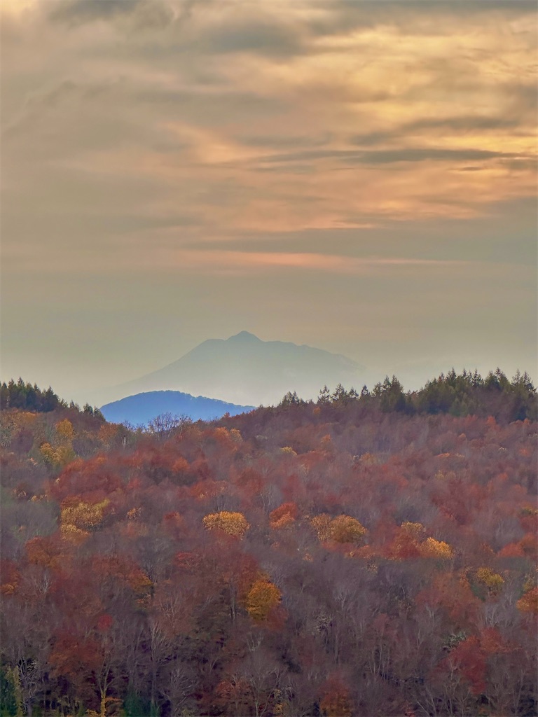 f:id:sea-b:20241027214401j:image