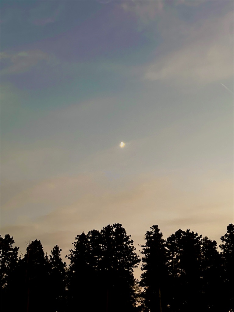 f:id:sea-b:20241110180302j:image