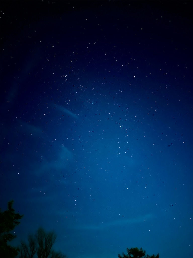 f:id:sea-b:20241110180319j:image