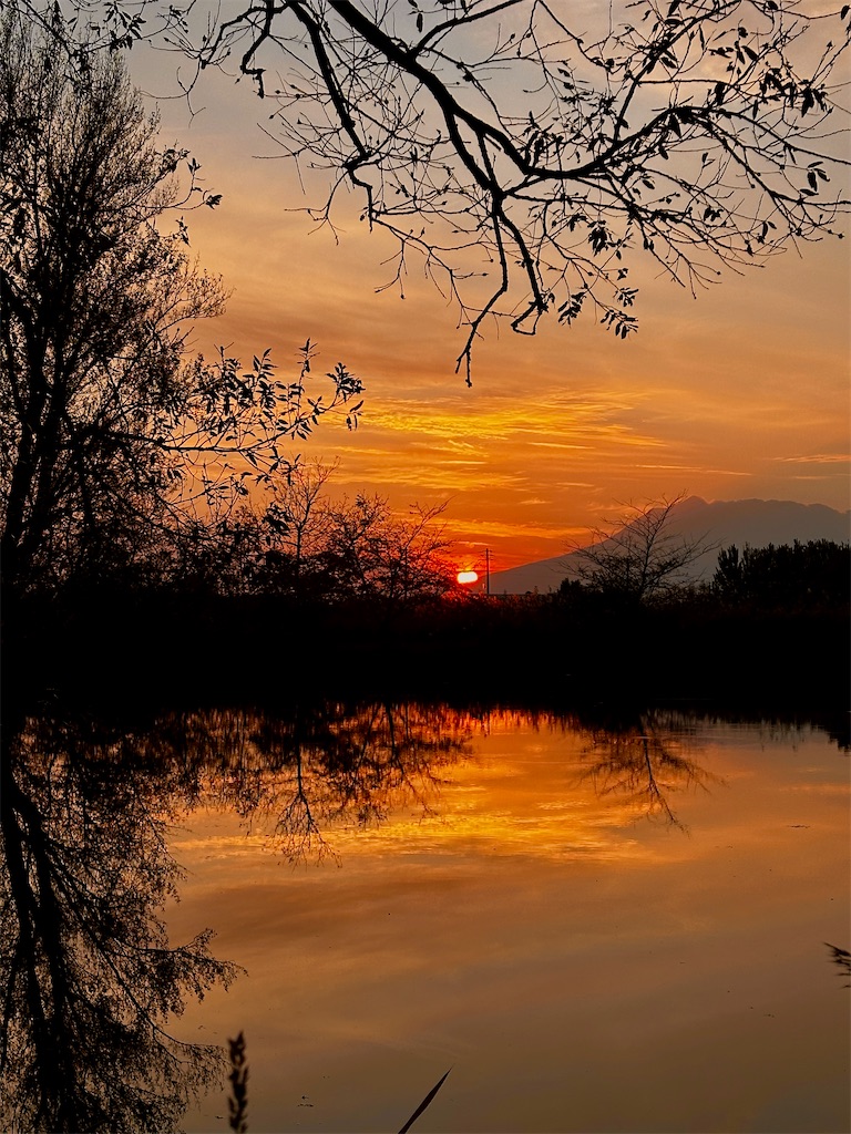 f:id:sea-b:20241110180400j:image