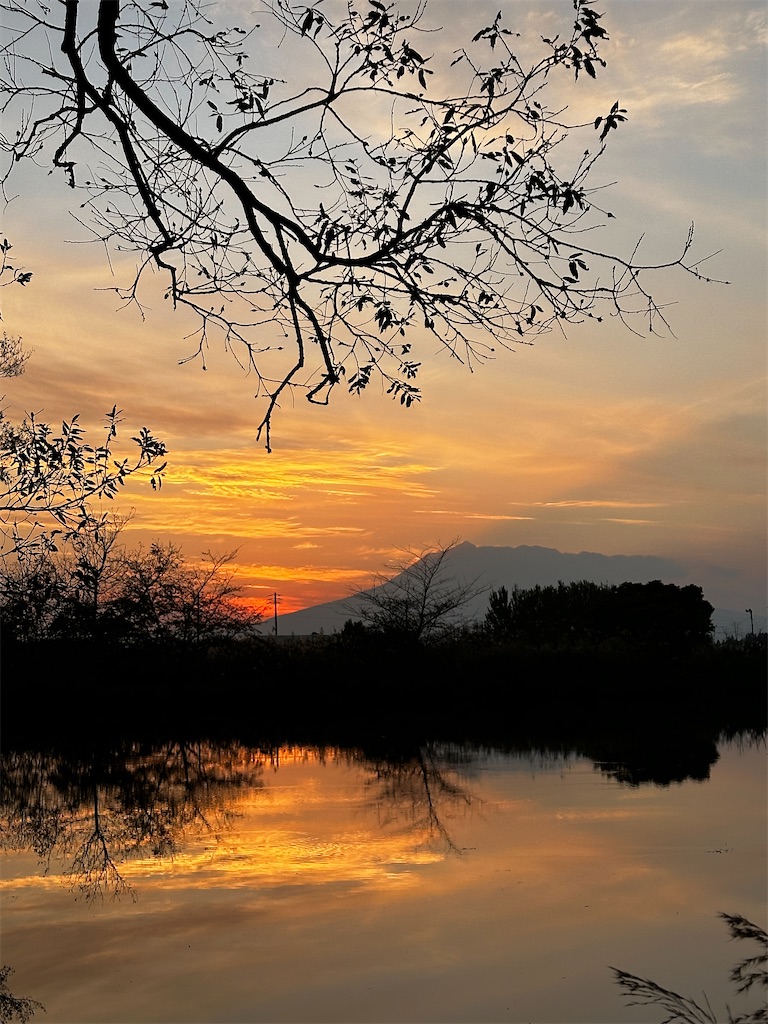 f:id:sea-b:20241110180406j:image