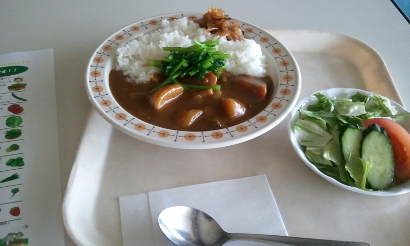 福島産きゅうり