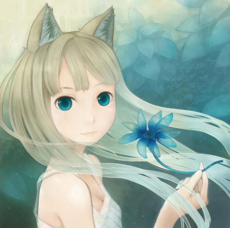 f:id:seaOtterDog:20101101044545j:image:w500