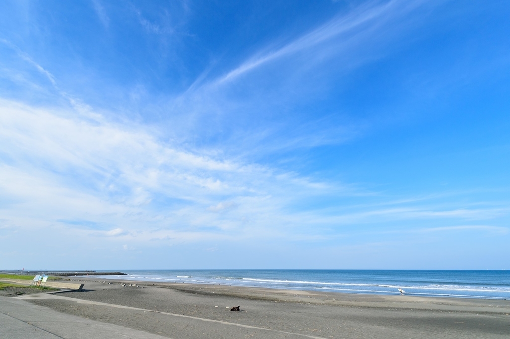 f:id:seabellsfishing:20181108221357j:plain f:id:seabellsfishing:20181108221357j:plain