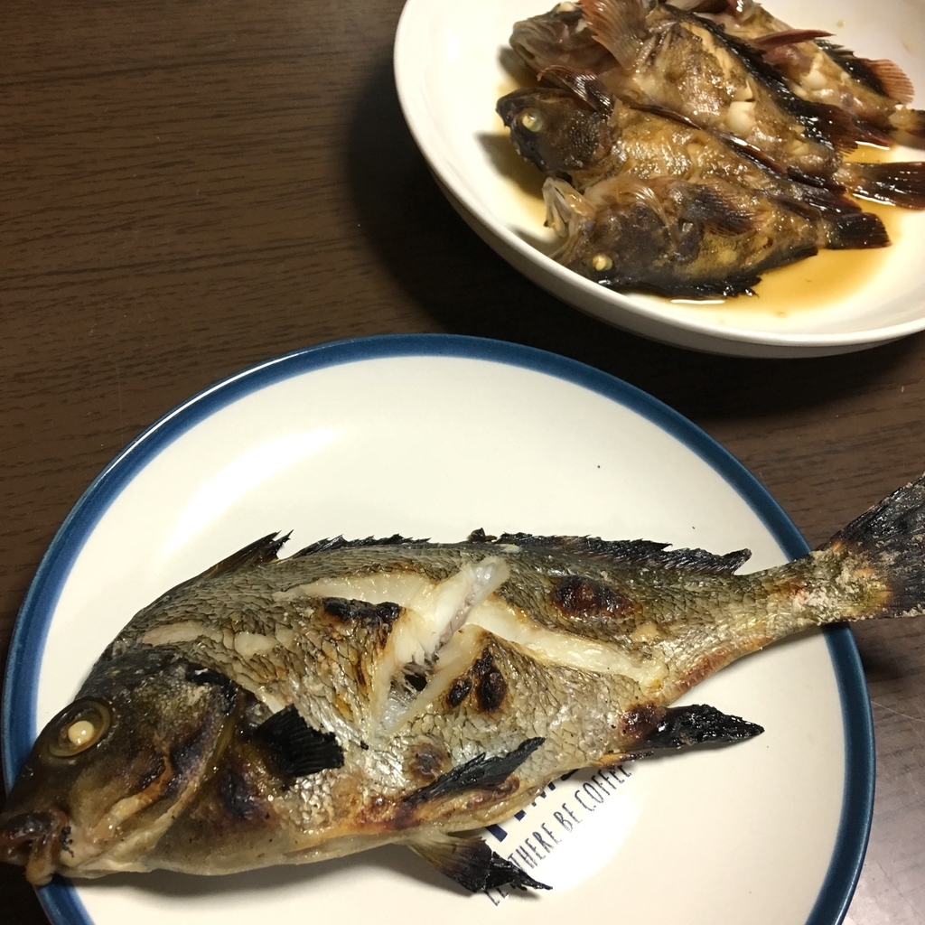 f:id:seabellsfishing:20181108224331j:plain f:id:seabellsfishing:20181108224331j:plain