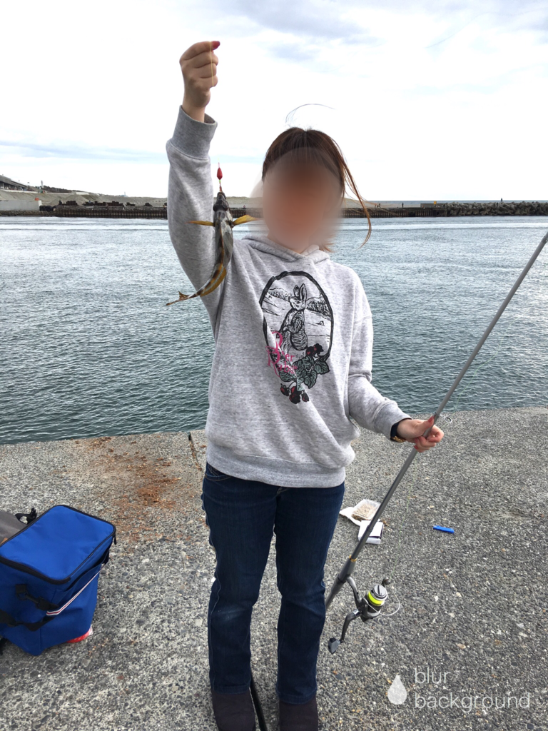 f:id:seabellsfishing:20181108224343p:plain f:id:seabellsfishing:20181108224343p:plain