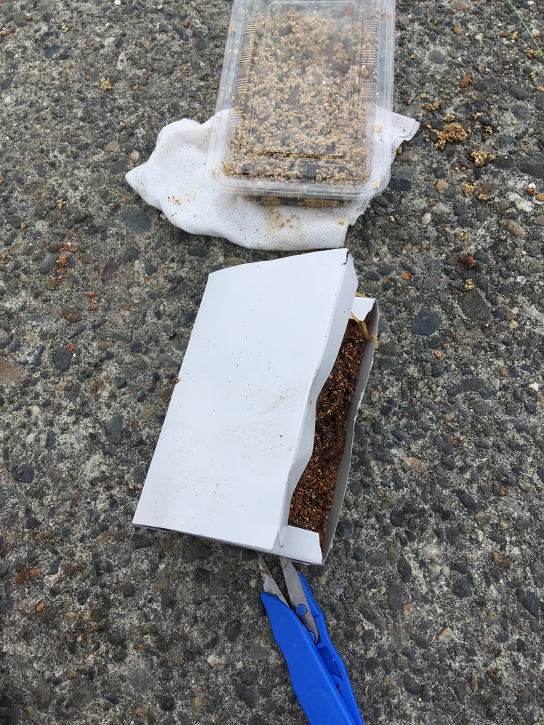 f:id:seabellsfishing:20181108224925j:plain f:id:seabellsfishing:20181108224925j:plain