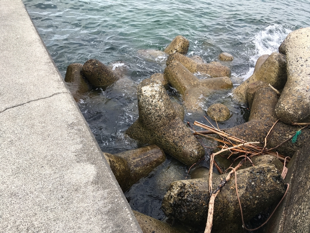 f:id:seabellsfishing:20181118225640j:plain f:id:seabellsfishing:20181118225640j:plain
