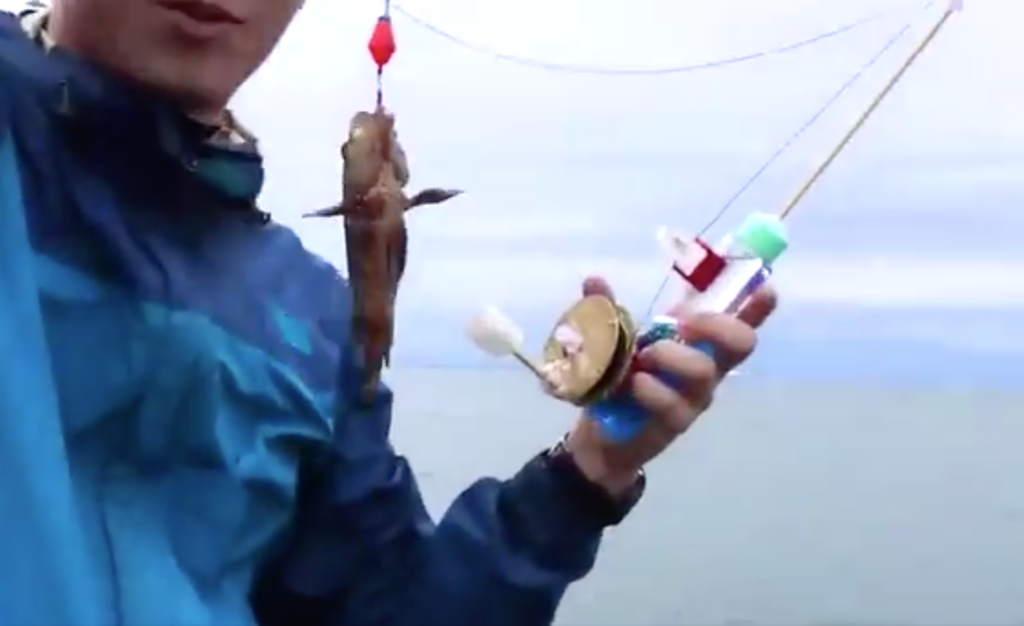 f:id:seabellsfishing:20181120215442p:plain f:id:seabellsfishing:20181120215442p:plain