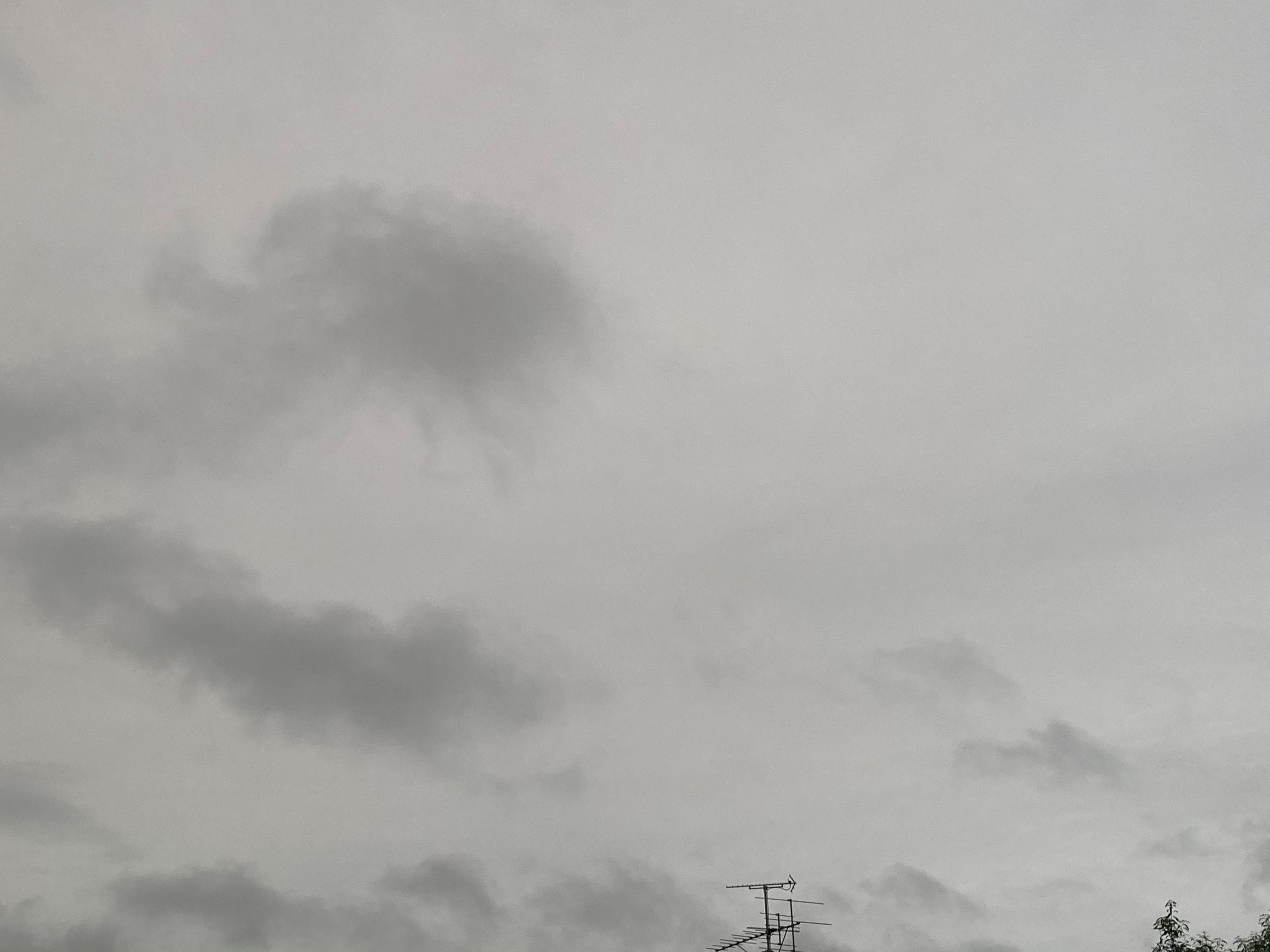 f:id:seadog_chinpan:20201018114041j:image f:id:seadog_chinpan:20201018114041j:image