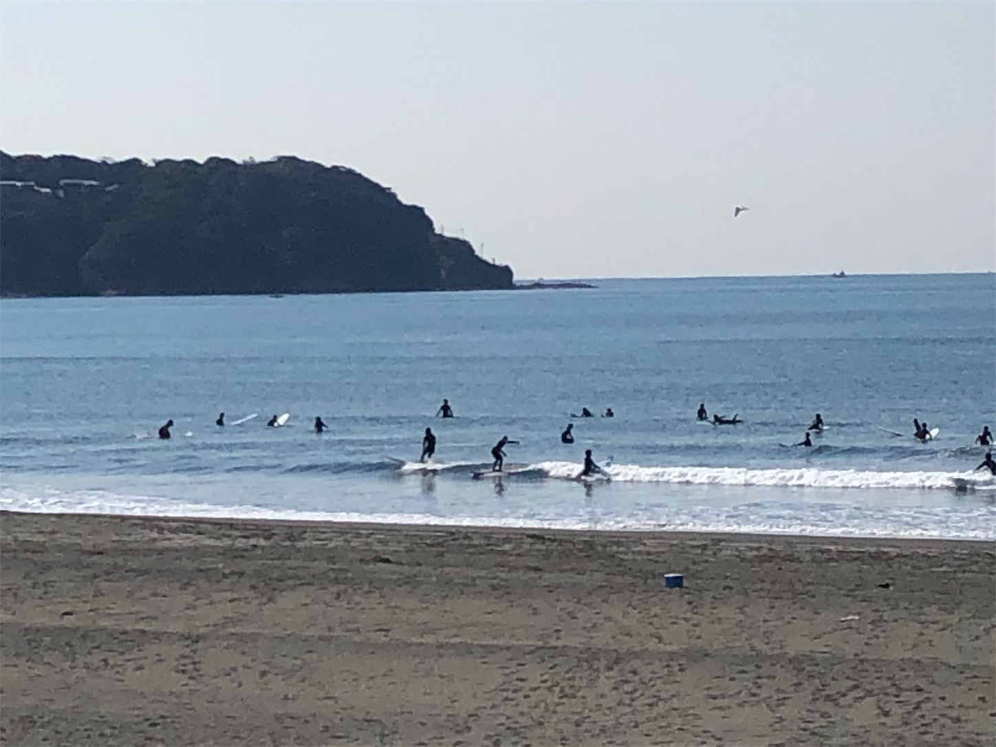 f:id:seaglass134:20190315092215j:image f:id:seaglass134:20190315092215j:image