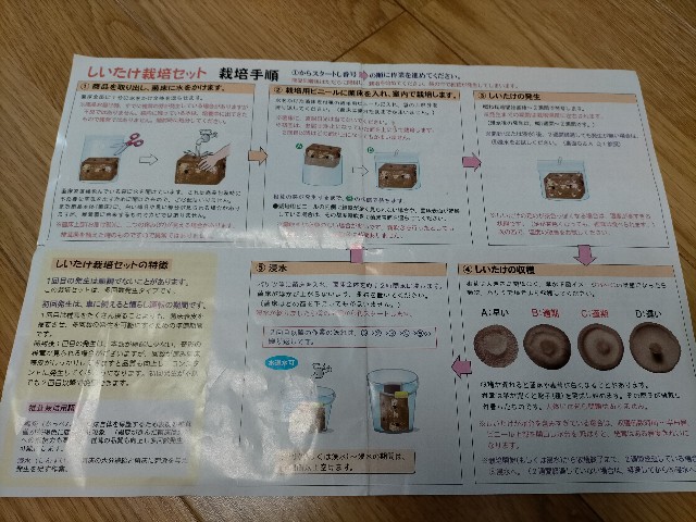 f:id:seaknowsmonky:20210304221710j:image