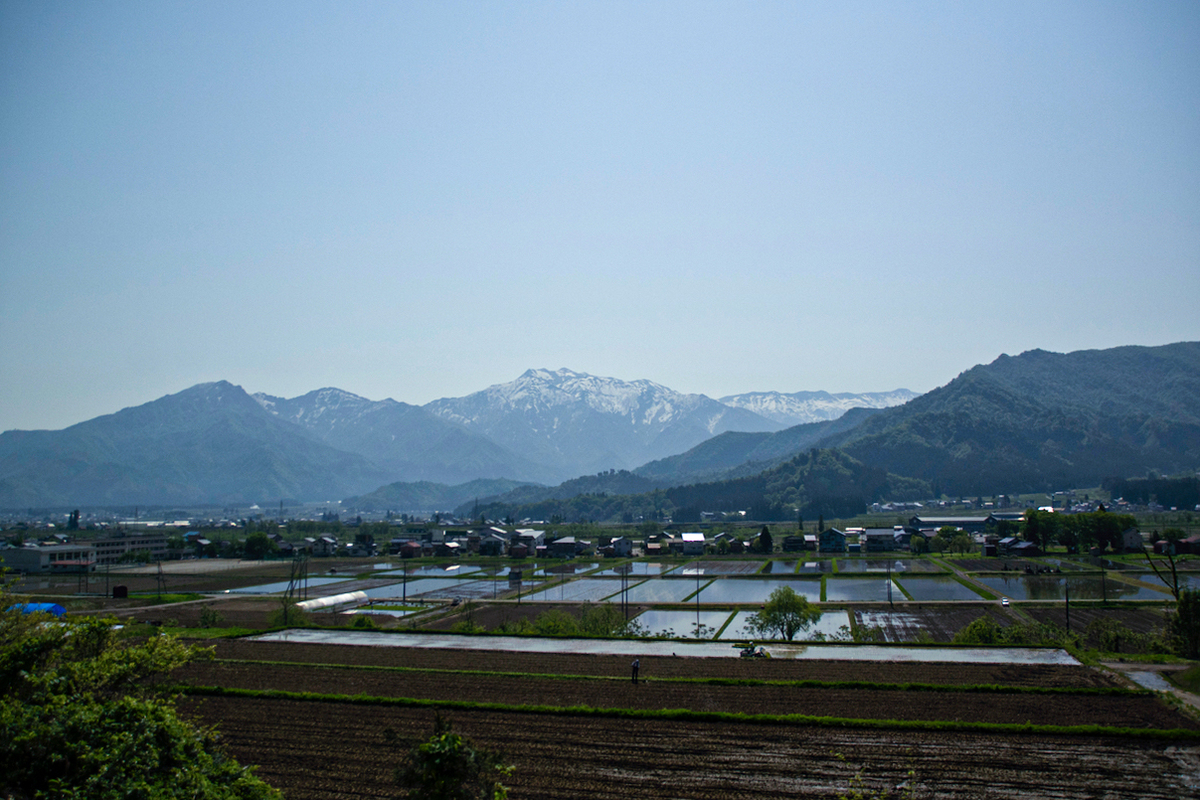 f:id:seal2501:20191229120725j:plain