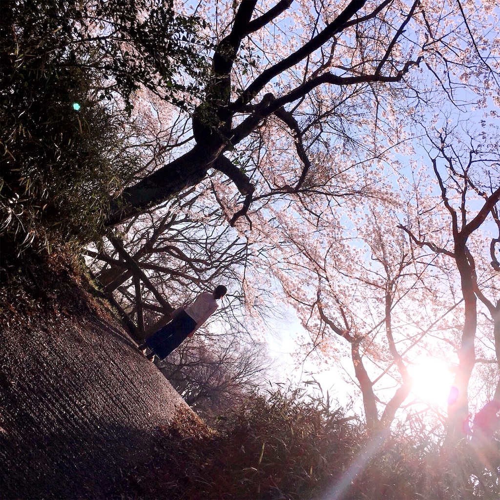 f:id:seal_me:20210126005948j:image