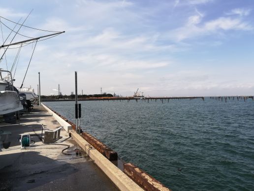 f:id:sealiongo:20180324151411j:plain f:id:sealiongo:20180324151411j:plain